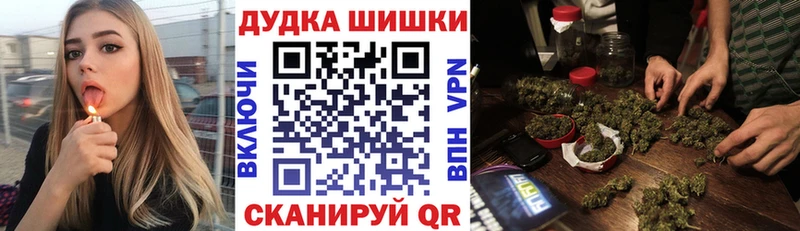 наркота  Урус-Мартан  Канабис планчик 