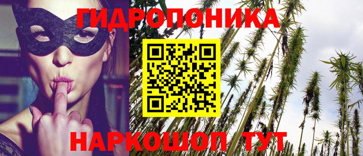 Бошки Шишки план Урус-Мартан